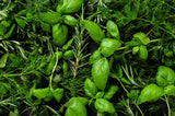 Natural Ingredients