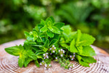 green garden herbs laying on a wood stump