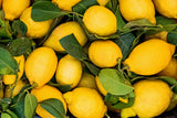 Lemons that could be used in upcycled fragrance ingredients