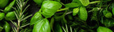 bright green herbs fragrance2u
