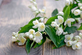 jasmine flowers and leaves on a wood surface