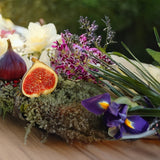 Nature Refined Collection