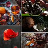 Collage of various images including a drink, cherries, a red poppy, coconuts, and dried fruits.