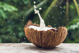 coconut splashing with coconut water fragrance2U