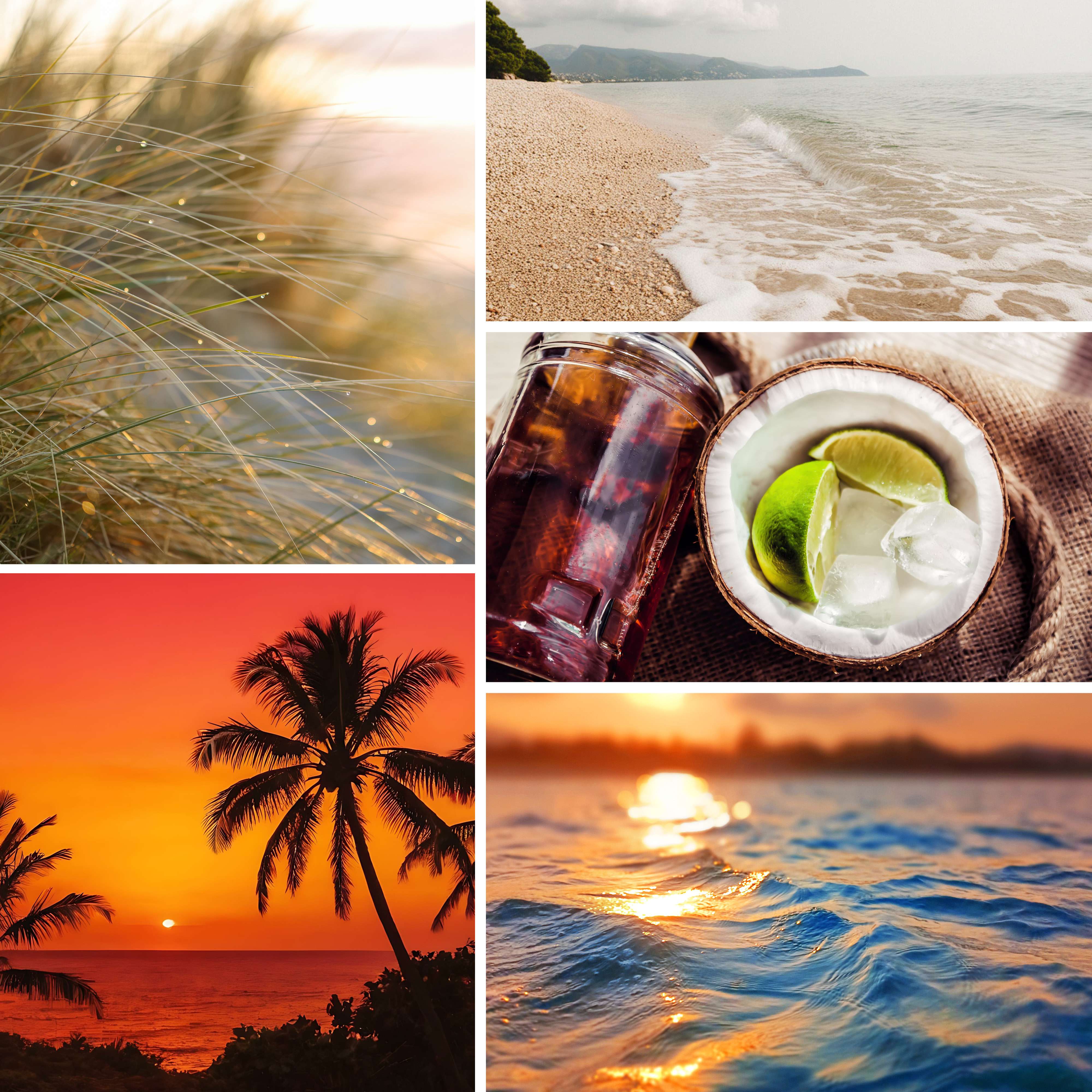Collage of tropical scenes including sunset, beach, and coconut with lime.
