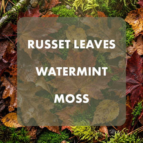 A square product label or swatch card with rounded corners over a natural forest floor background. The card is semi-transparent and reads 'RUSSET LEAVES WATERMINT MOSS' in white uppercase text.