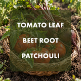 A wicker basket filled with fresh harvested tomatoes, beet roots, and green tomato leaves, placed in soil outdoors. Large white text overlays the center reading 'TOMATO LEAF BEET ROOT PATCHOULI'.