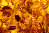 pieces of yellow amber