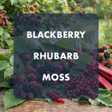 Blackberry, rhubarb, and moss on a wooden surface with a blurred natural background.