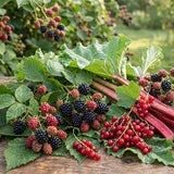 Assorted berries and rhubarb on a wooden surface with greenery in the background