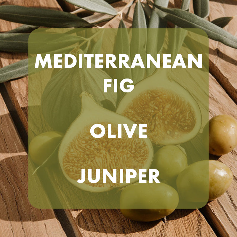 fragrance notes for fig & olive fragrance oil