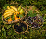 Baskets of bananas, oranges, pears, and grapes on a green leafy background
