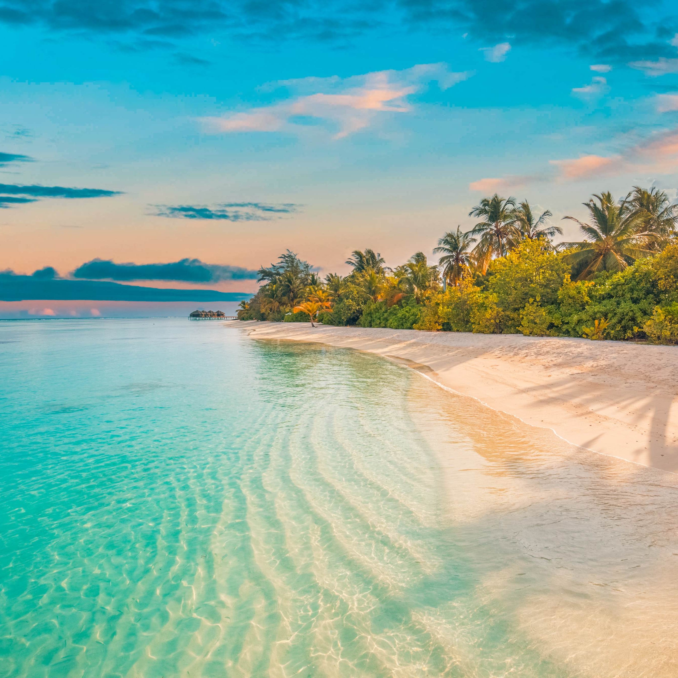 Crystal clear water at a beach. A swing hangs from a palm tree nearby.