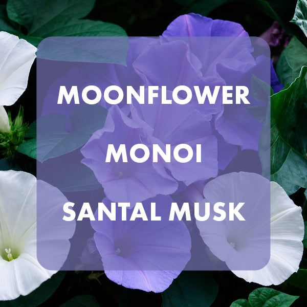A square graphic with a semi-transparent purple overlay reading 'MOONFLOWER MONOI SANTAL MUSK' in white text, placed over a close-up photo of moonflower blossoms in white and light purple with dark green leaves.