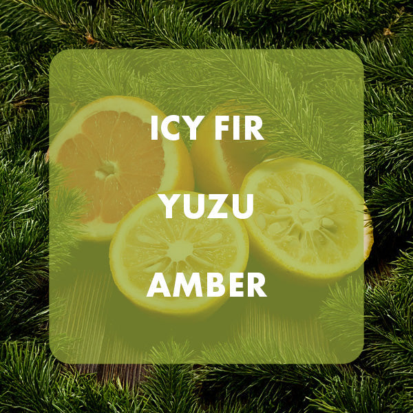 fragrance notes for Pinesap & Yuzu fragrance oil