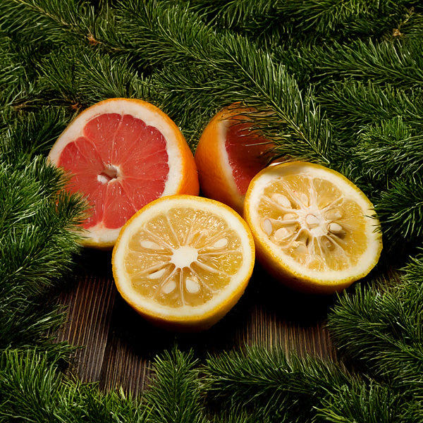 Sliced grapefruit and yuzu on a wooden surface with green foliage